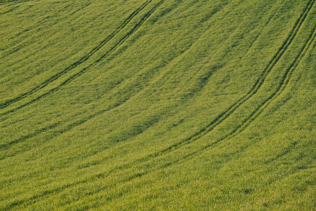 Photo Green jumpsuit